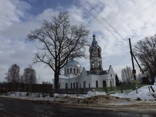 Тополь (Дмитрий Зонов)