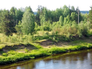 берег р. Кобры (Татьяна Абатурова)