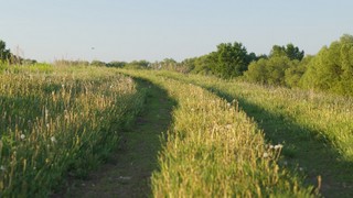 На заре (Ленар Хабиб)