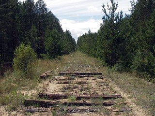 насыпь разобранной ж/д (offroadkazan)