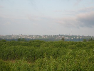 п.Нагорск, вид от устья р.Кобры (Дмитрий Зонов)