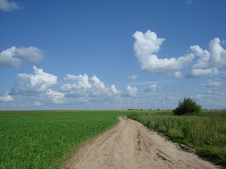 Дорога в деревню Сосновка. Республика Марий Эл. Россия. Июль 2008 г. (Alex Van Shumm)