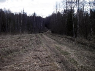 просека Кумьинская (offroadkazan)