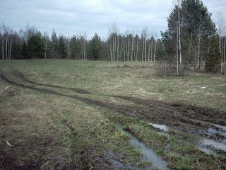 Forest (Bernar “BTRaven” Traven)