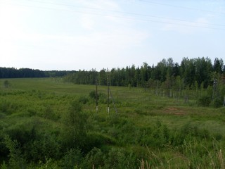 Вид с возвышенности, ведущей к мосту через р. Кобру (Роман Кобелев)