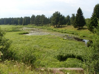 Речка Грехнёвка (Роман Кобелев)