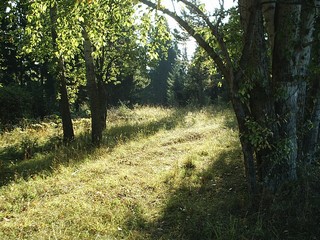 На рассвете (Makshanov Eugene)