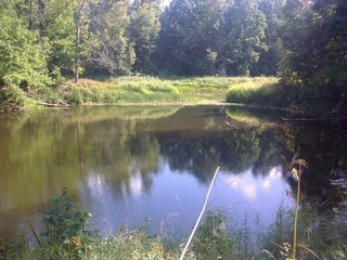 mini-lake Chernaya Yama at the river B. Kokshaga (viktor drobot)