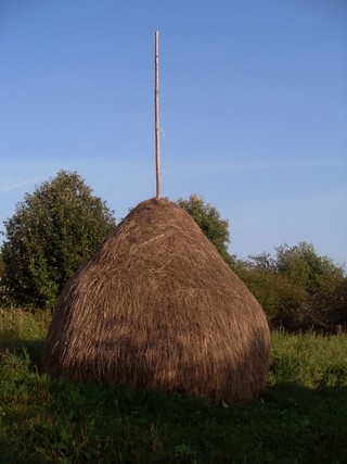 haystack (zaliPar)