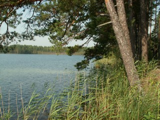 on the lake Karas-yar (viktor drobot)