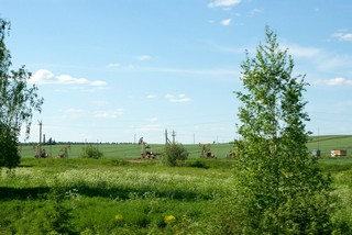 Нефтяные станки-качалки в районе дер. Пужмезь / Oil-field of 