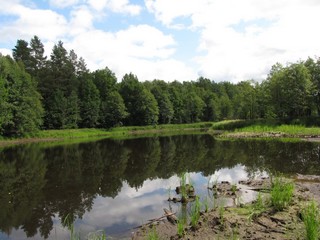 Старица р.Б.Кокшага\\\\\\Old riverbed Kokshaga river (WERMUT)