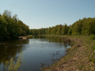 река Большая Кокшага, весна 2009//river Bolshaya Kokshaga, spring, 2009 (viktor drobot)