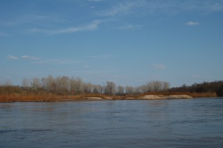 Чепца/взгляд вниз по течению/высокая вода (Mikhail Buldakov)