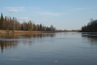 Чепца/взгляд вниз по течению/высокая вода (Mikhail Buldakov)