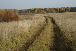 луг/дорога с.Дробины - д.Кулики/вид на северо-восток (Mikhail Buldakov)