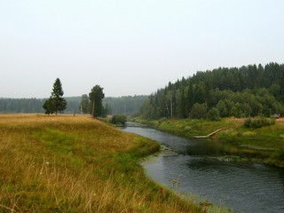 Летка выше Черёмуховки (Дмитрий Зонов)