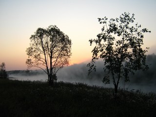 Берег р.Кобры, туман (Дмитрий Зонов)