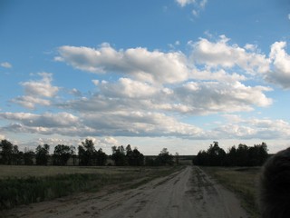 Мусерье (Дмитрий Балашов)