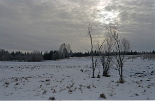 Стылый ноябрь (Мартюшев Павел)