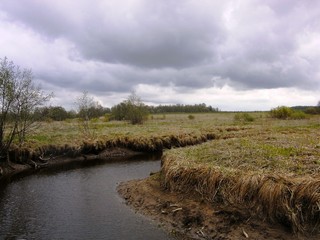 Речка Шардань (OleLyk)