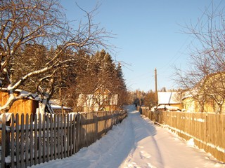 Сады у Санниковых (Дмитрий Зонов)