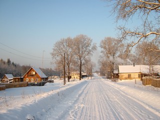 Дорога через д.Ларюшенцы (Дмитрий Зонов)