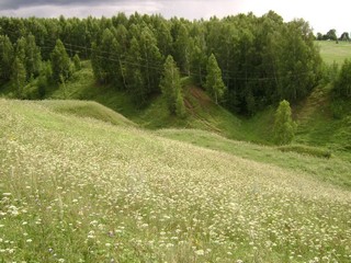 Ромашки.Паулкино (мариец)