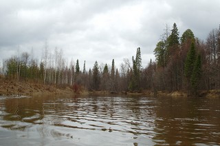 Лумпун (Mikhail Buldakov)