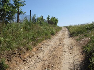 село Чубарово, Республика Татарстан (fidart)