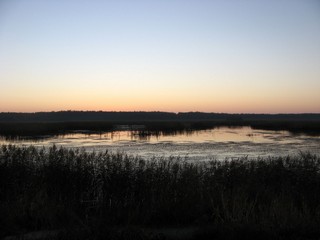 Старый рыбопитомник (Alexandr.Sidorkin)