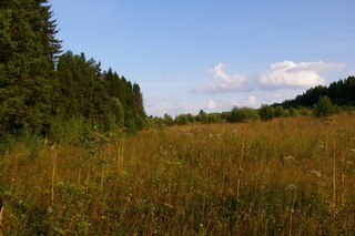 Дорога на родник (Mariemsc)