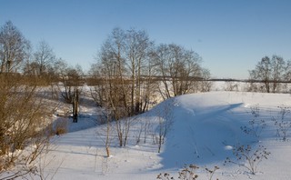 р.Быстрица, остатки деревянной мельницы (Юрий Зыкин)