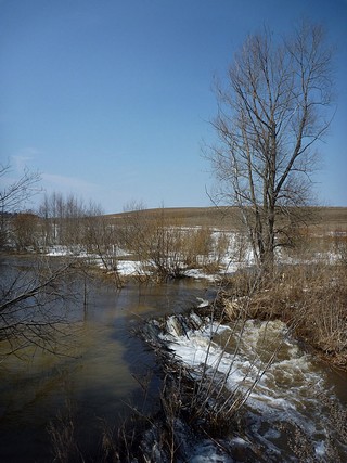 Бобровая плотина на реке Якшурке (SerBor)