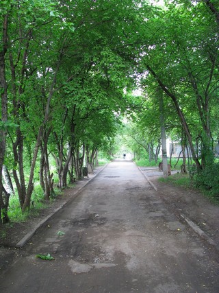 Аллея в парке ВМТ. (Eugene Sky)