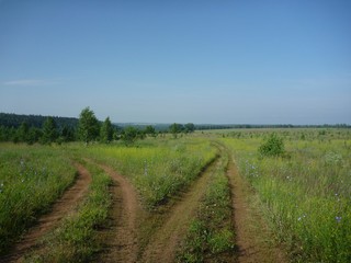 Урочище Прокошево (SerBor)