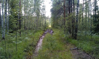 The road around Orier (Alexander Kapustin)