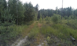 The road around Orier (Alexander Kapustin)