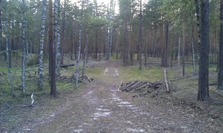 The road around Orier (Alexander Kapustin)