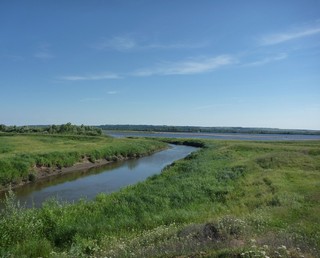 Место впадении реки Шолья в Каму (SerBor)