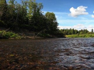 Кама (Денис Логиновский (denlog))