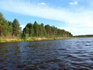 Правый берег Лузы ниже Шастово (Дмитрий Зонов)