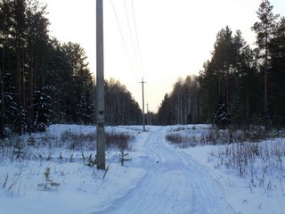 Просека ЛЭП (Дмитрий Зонов)