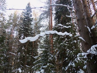 Снежная змея (Дмитрий Зонов)