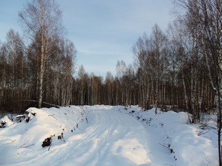 Дорога к Никульчинке (Дмитрий Зонов)