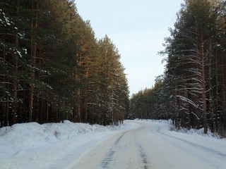 Дорога Сидоровка-Порошино (Дмитрий Зонов)