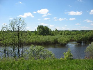 На реке Кишкиль (Александр Холкин)