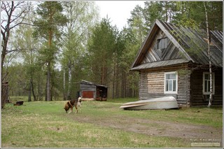 р. Большая Кокшага. (д. Шупшаово). Марий Эл. Россия. Май 2013 г.  (Alex Van Shumm)