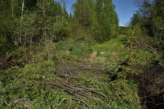 дорога Гидаево-Кай (Денис Логиновский (denlog))