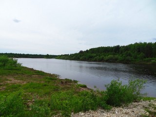 р. Луза вниз по течению п. Коржинский (bokax)